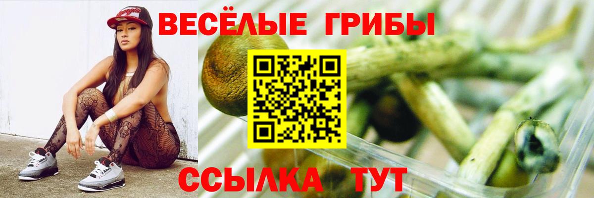 Псилоцибиновые грибы прущие грибы Гай