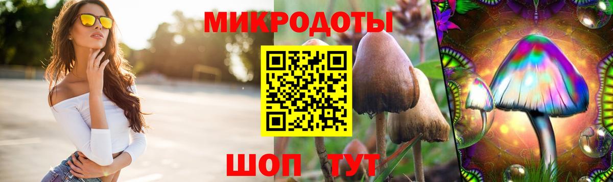 Гай  Псилоцибиновые грибы Cubensis  закладки  Вход с VPN 